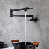Pot Filler Faucet Wall Mount Matte Black